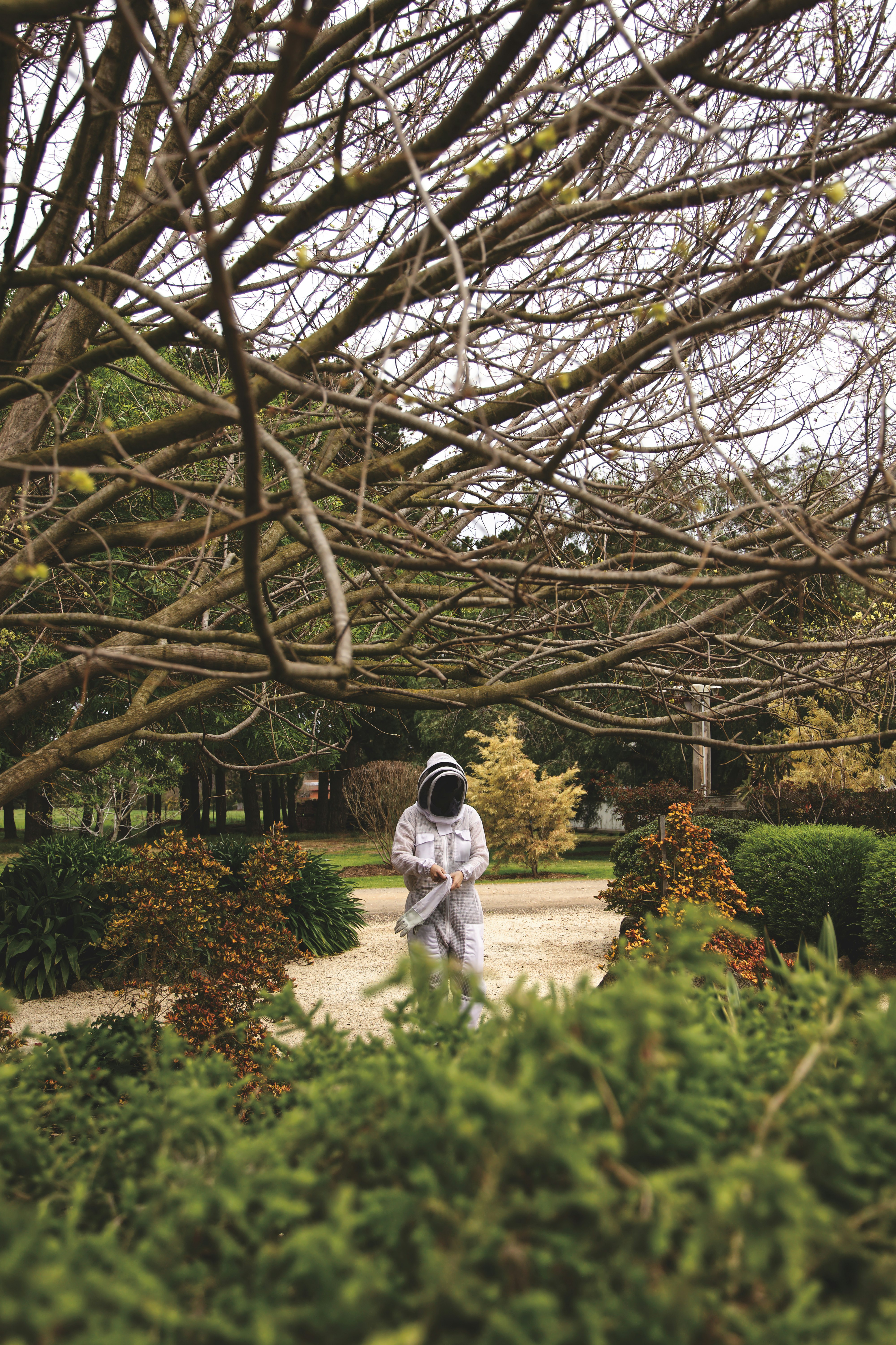 person near leaflless tree